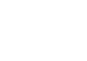 Logo Mac Insular